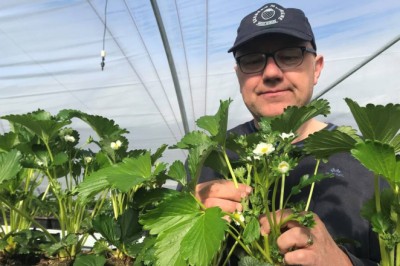 Jordbærbonde har gitt opp å få hjelp fra Nav