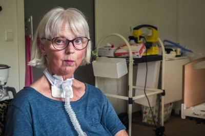 Skogen var det einaste ho hadde – så kom gravemaskinane