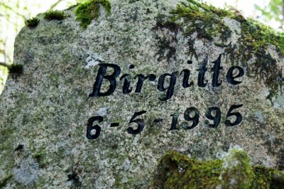 Kan bruke Grunnloven for å endret erstatningsdommen mot fetteren