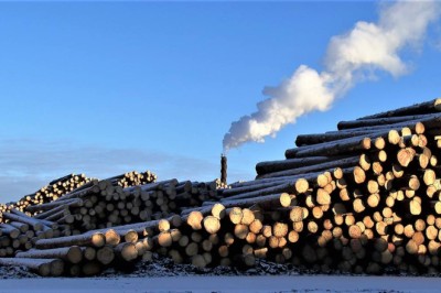 Fastprisavtale: – må ut og selge halvparten til en billig pris